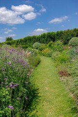 Fototapeta na wymiar way through a wild blooming garden in summer, France