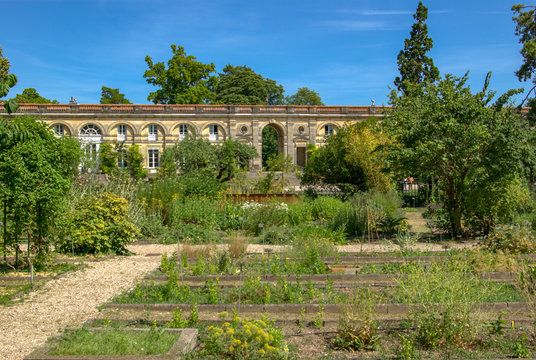 Botanical Garden of Bordeaux, France in the sun