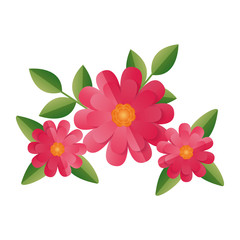 flowers leaves foliage