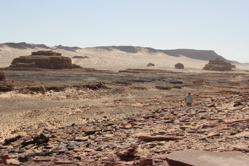 Stony mountains in the Sinai desert