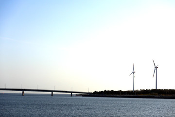 新舞子周辺の風景