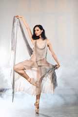 Beautiful ballerina in stage grey loose long transparent dress dancing modern ballet, performs artistic expressive movements with hands isolated on grey background © alfa27