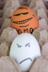GMO food: an ordinary egg in a blur unfriendlyly squinted at an unusually large content genetically modified egg in focus