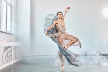 Modern ballet dancer in scenic flowing costume working out at studio during final reheasal . Art...