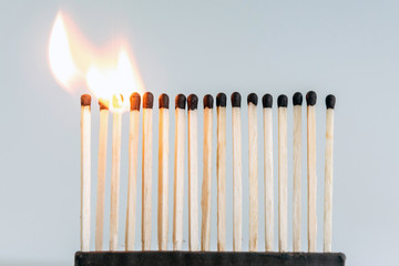 row of wooden matches, the fire swiftly moves from match to match