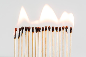 A row of wooden matches brightly flares together