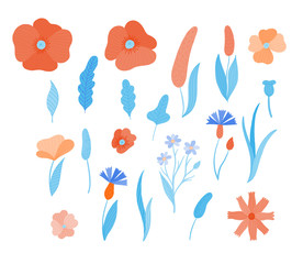 vector set of wild flowers in the style of flat. Poppies, cornflowers, leaves, daisies
