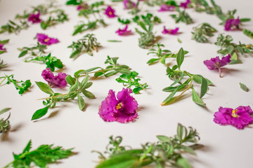 Pattern of pink flowers, petals, leaves on a pink background. Flat lay, top view