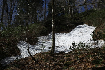 日本の山の中の残雪