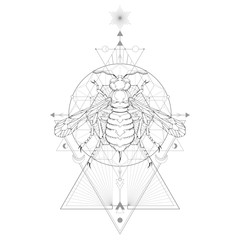 Vector illustration with hand drawn wasp and Sacred geometric symbol on white background. Abstract mystic sign.