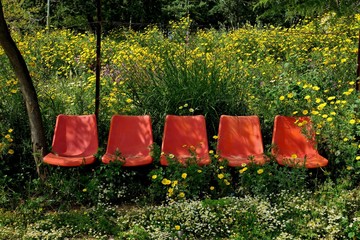 orange chairs in the middle of the forest in the grass and flowers