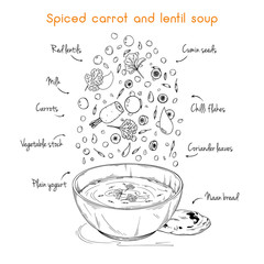 Simple recipe for soup. Spiced carrot and lentil soup. Vector