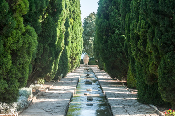 Clear water cascade stream in park garden with stone slabs bed