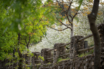 Primavera, floracion, valle del jerte, Caceres
