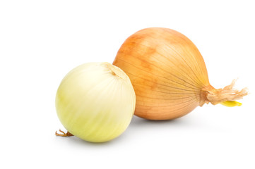 Onion and peeled onion on white background.
