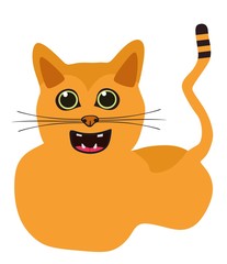 happy cat isolated on white