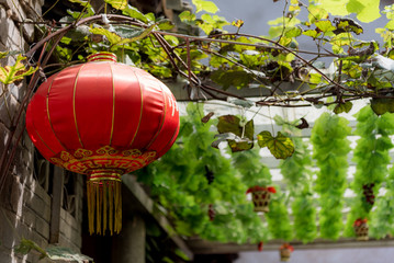 Fototapeta na wymiar chinese lantern hanging in a garden
