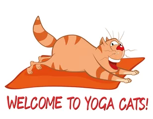 Gordijnen Essentiële yogahoudingen voor katten. Vectorillustratie van een schattige kat. Stripfiguur © liusa