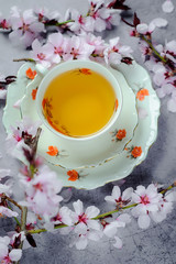 Cherry blossom(sakura) japanese Herb tea.The magic of tea, decorated with sakura flowers and sweets, spring mood, summer