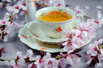 Cherry blossom(sakura) japanese Herb tea.The magic of tea, decorated with sakura flowers and sweets, spring mood, summer