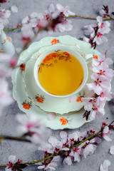 Cherry blossom(sakura) japanese Herb tea.The magic of tea, decorated with sakura flowers and sweets, spring mood, summer