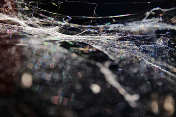 Abstract blur cobweb background