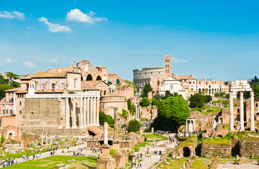 Fototapeta na wymiar Roman Forum in sunny spring day. Rome. Italy