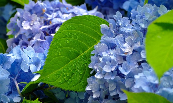 679 Best 男鹿市 Images Stock Photos Vectors Adobe Stock