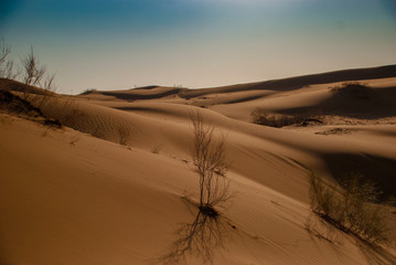 A shot of endless desert no people no footprint under blue sky