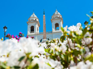 Flowers of the Spanish Steps and the church of the Santissima Trinita dei Monti at spring. Sunny day. Rome. Italy