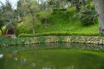 Fototapeta na wymiar pond in park