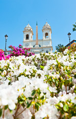 Flowers on the Spanish Steps and the church of the Santissima Trinita dei Monti in sunny spring day. Rome. Italy