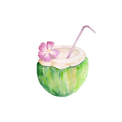 watercolor coconut green