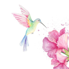 watercolor hummingbird with flowers and splashes