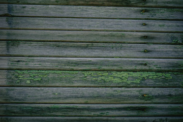 Green wooden texture as background old collapsing fence