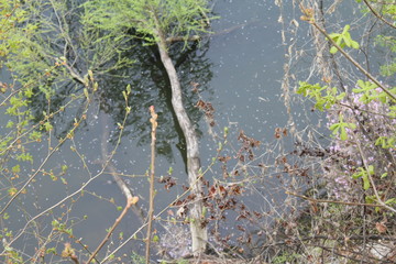 아름다운 봄꽃들