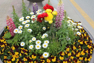 아름다운 봄꽃들