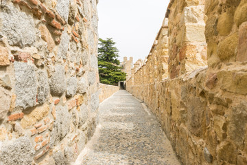 Fototapeta na wymiar Walls of the city of Avila in Castilla y León, Spain. Fortified medieval city