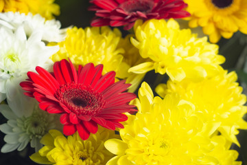 bright bouquet of red white