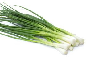 fresh bunch of green onions or scallions placed on white background
