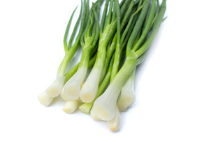 fresh bunch of green onions or scallions placed on white background