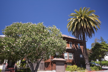 Spring Impressions from Berkeley near San Francisco and Oakland in Alameda County on May 3, 2017, California USA