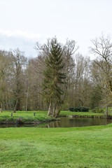 Magnifiques et majestueux arbres dans ce parc à Availles sur Seiche dans le département de l'Ile et Vilaine en Bretagne