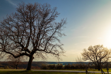 Springtime in the croatian countryside