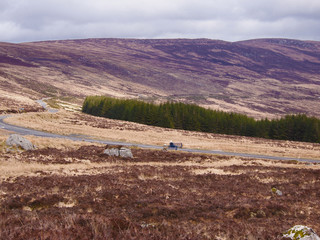 sheep in the mountains