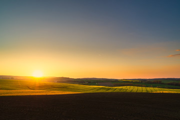 Plakat Sunset above the large yellow colza field