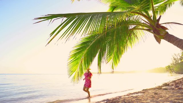 Sunrise over tropical island beach and palm trees. Punta Cana, Dominican Republic.