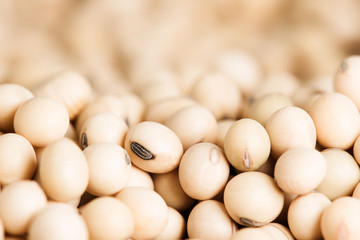 Close up soy bean soya organic raw food