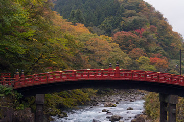 Shinkyo red bridge in autumn forest and water stream.