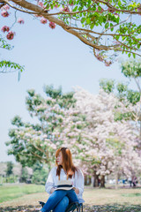 spring season with full bloom pink flower travel concept from beauty asian woman enjoy sit under the big tree with sight seeing sakura or cherry blossom with soft focus flower background